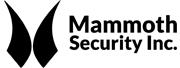 Mammoth Security Inc. New Britain Explains Why It’s the Sough-After Security Installation Company
