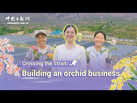 Orchid grower cultivates cross-Strait community
