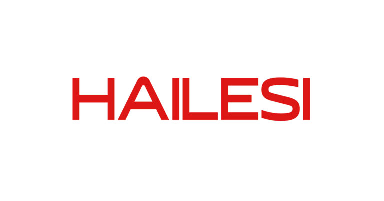 Ultra-Portable Large-Screen Companion for Nintendo Switch Gamers — HAILESI S135 Portable Monitor