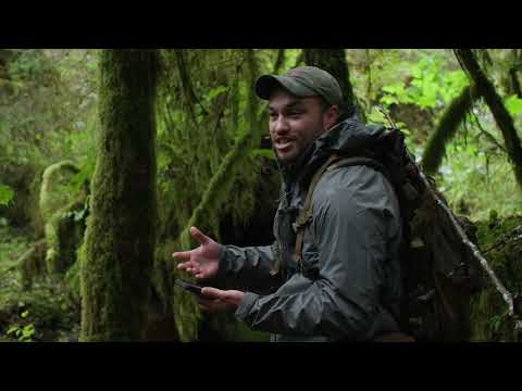 Sealaska stewards community homelands through collaborative restoration of streams, forests and trails.