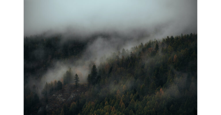 Get to Know the Northwest, One Strong Coffee at a Time