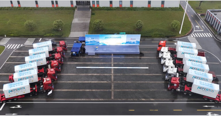 Gotion Delivers Africa's Largest AC-Coupled Storage Project in Just 3 Months